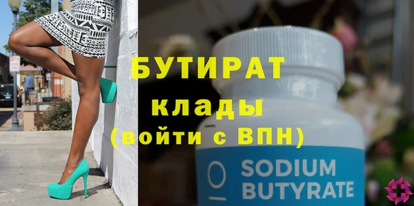 индика Медвежьегорск