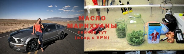 индика Медвежьегорск