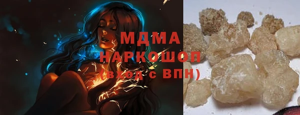 индика Медвежьегорск